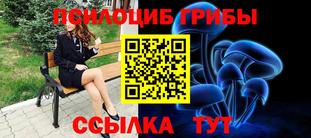 Оренбург  Псилоцибиновые грибы прущие грибы  где купить   Псилоцибиновые грибы прущие грибы  Вход с VPN 